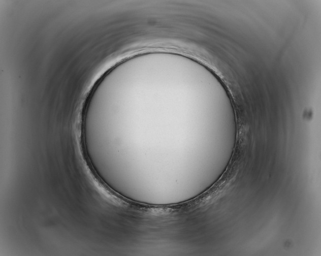 X0000098141523200805011332