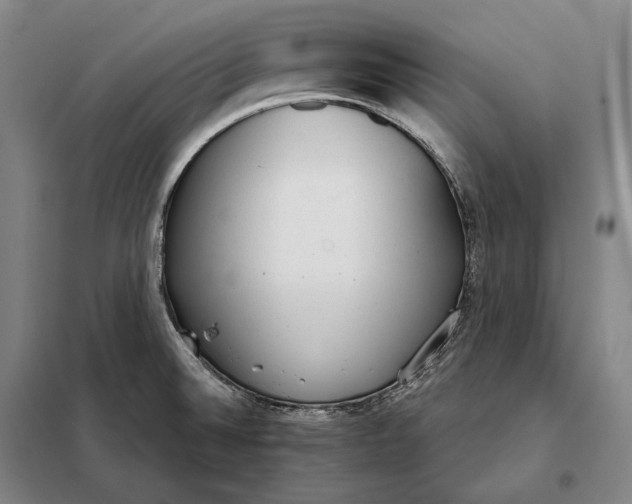 X0000098141524200805011332