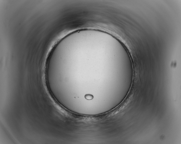 X0000098141525200805011332