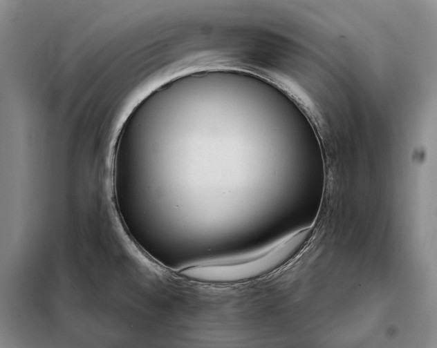 X0000098141528200805011332