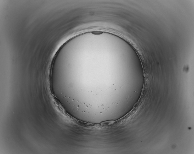 X0000098141530200805011332