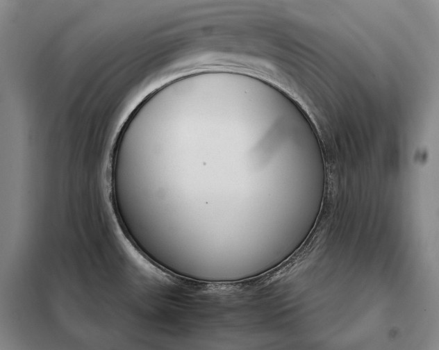 X0000098141531200805011332