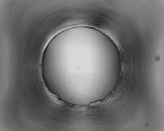 X0000098141532200805011332