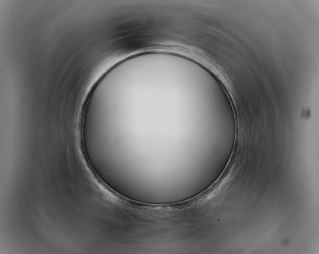 X0000098141533200805011332