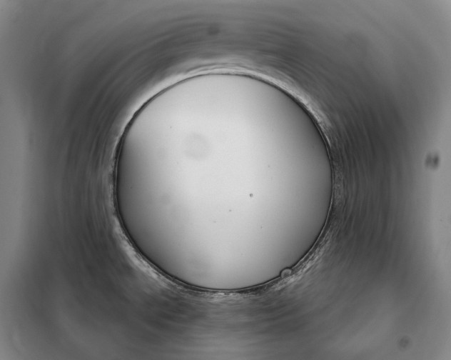 X0000098141534200805011332