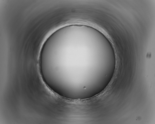 X0000098141536200805011332