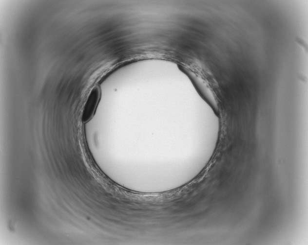 X0000098140001200805081030