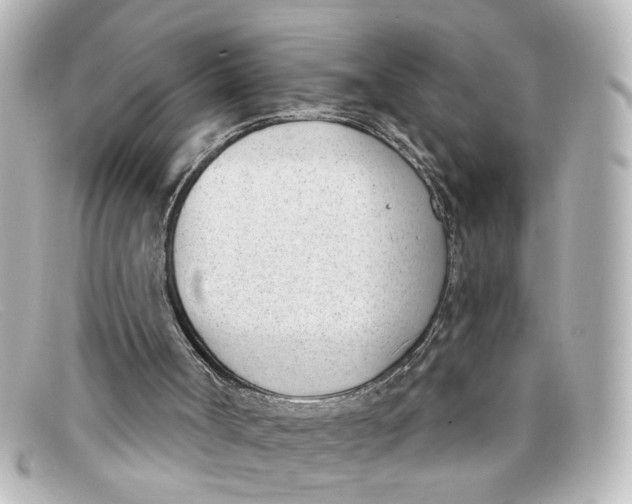 X0000098140002200805081030