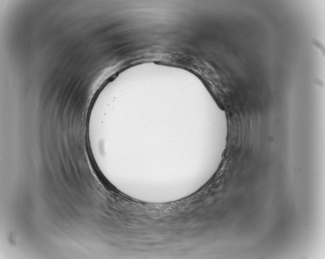 X0000098140003200805081030