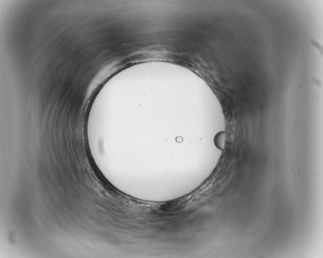 X0000098140004200805081030