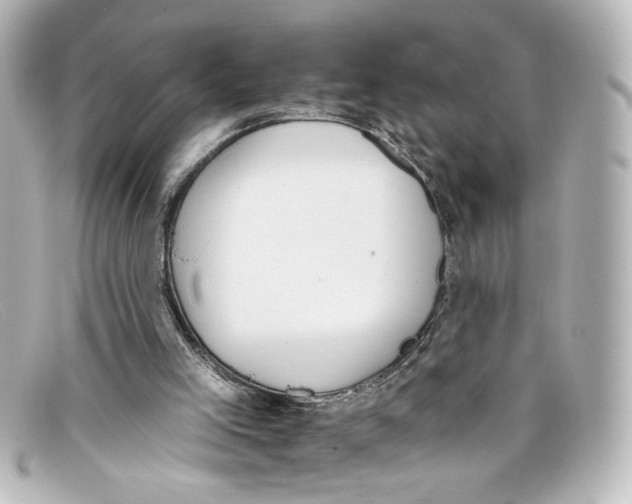 X0000098140005200805081030