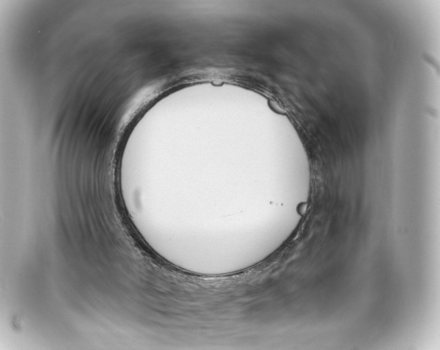 X0000098140006200805081030