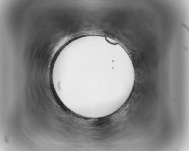 X0000098140008200805081030