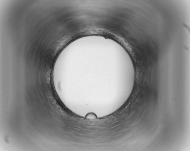 X0000098140010200805081030