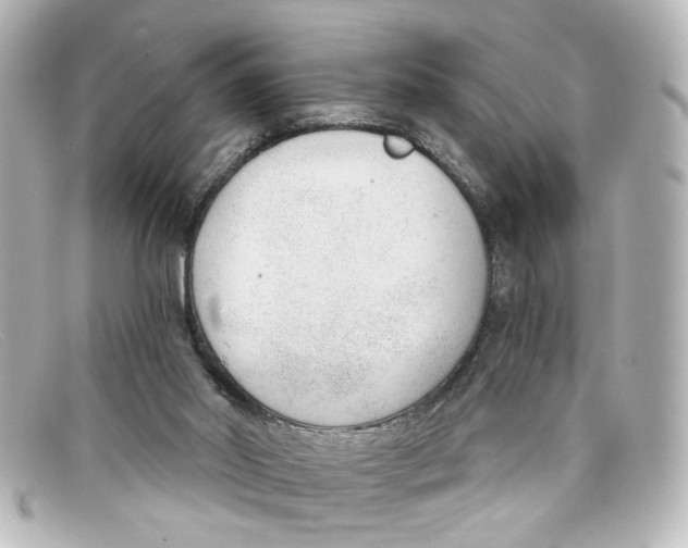 X0000098140014200805081030