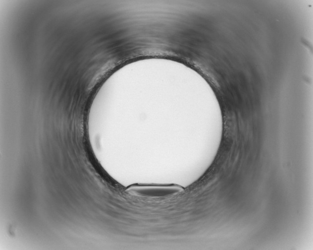 X0000098140015200805081030