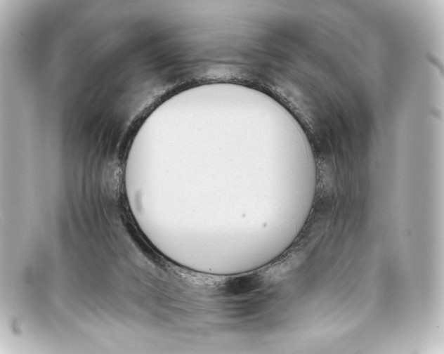 X0000098140016200805081030