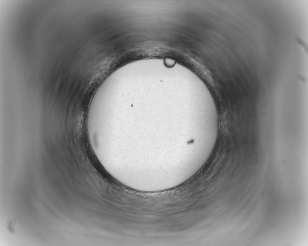 X0000098140018200805081030