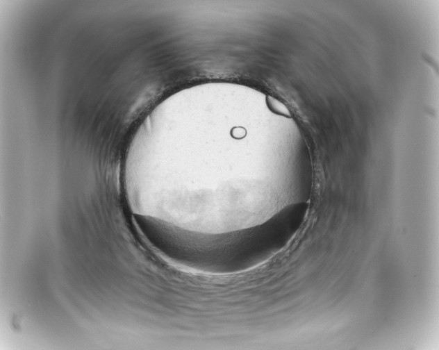 X0000098140019200805081030