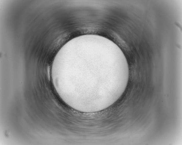 X0000098140022200805081030