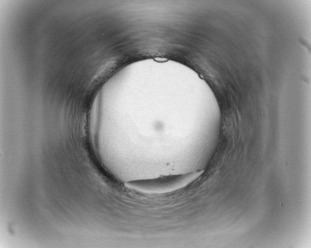 X0000098140023200805081030