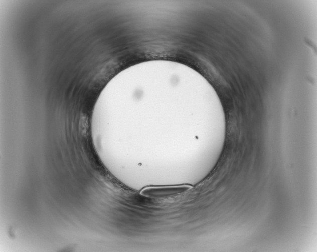 X0000098140025200805081030