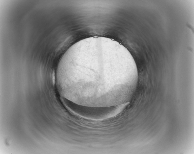 X0000098140027200805081030