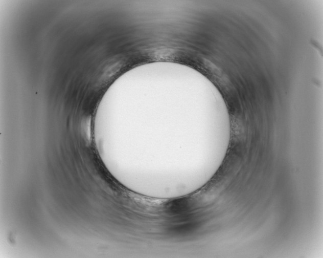 X0000098140028200805081030