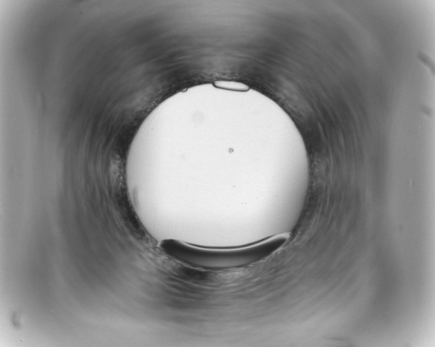 X0000098140029200805081030