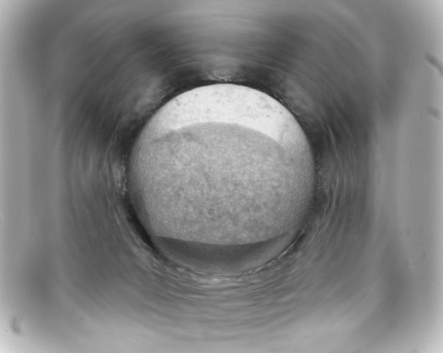 X0000098140031200805081030