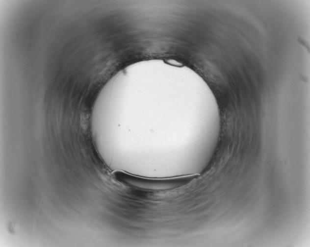 X0000098140033200805081030