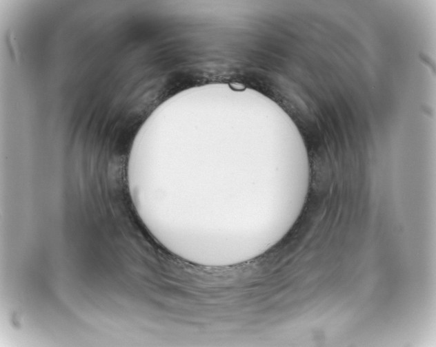 X0000098140034200805081030