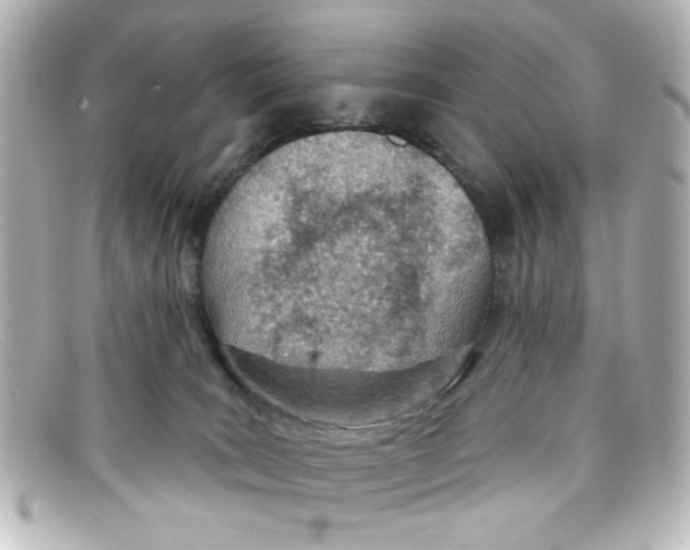 X0000098140035200805081030