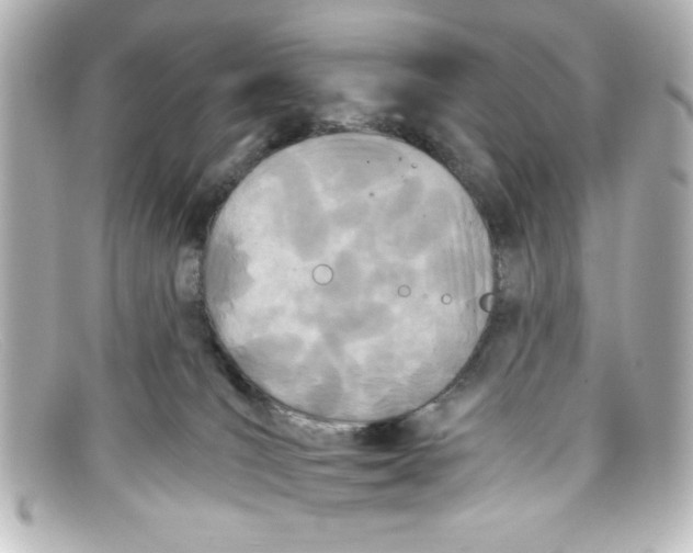 X0000098140036200805081030