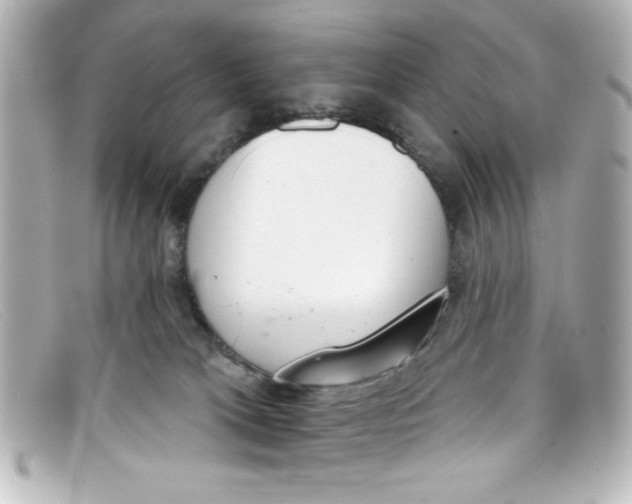 X0000098140037200805081030