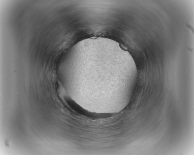 X0000098140039200805081030