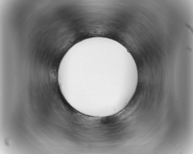 X0000098140040200805081030