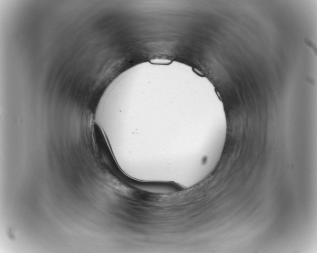 X0000098140041200805081030