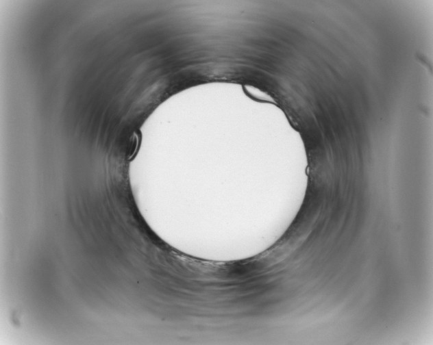 X0000098140044200805081029