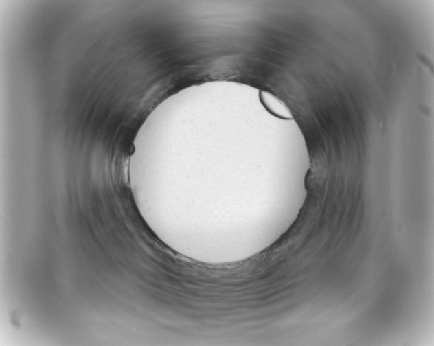 X0000098140046200805081029