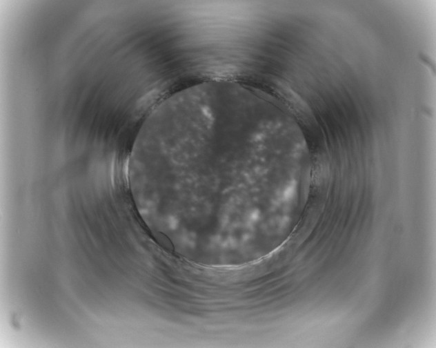 X0000098140047200805081029