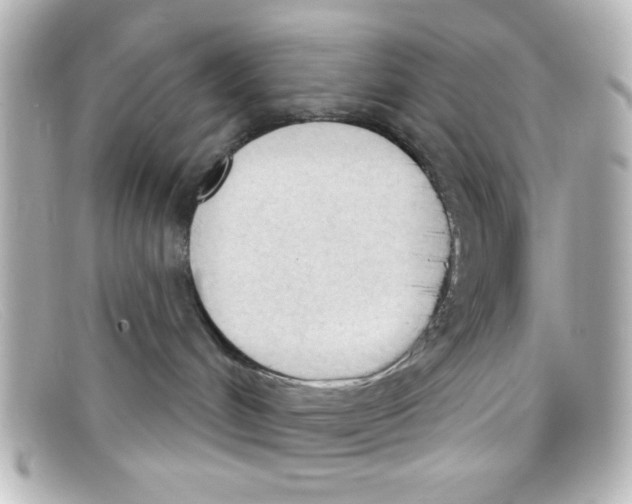 X0000098140048200805081029