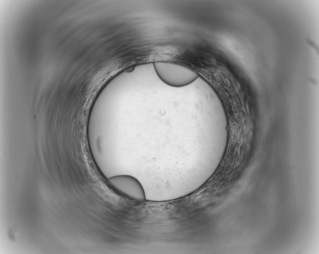 X0000098140049200805081029