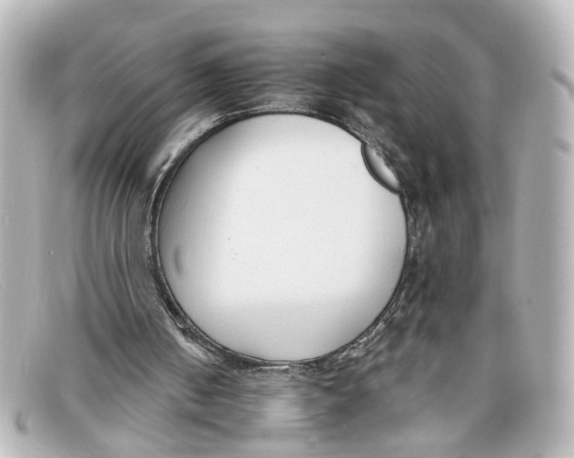 X0000098140050200805081029