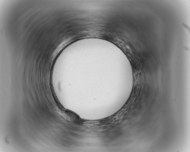 X0000098140051200805081029