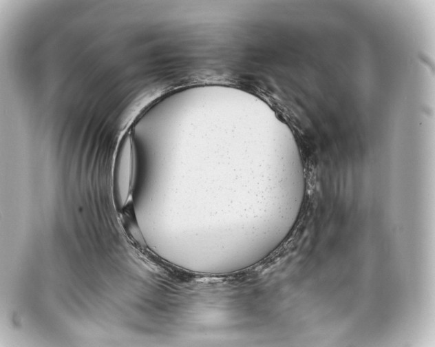 X0000098140052200805081029