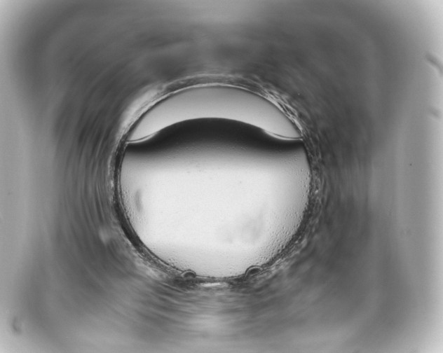 X0000098140053200805081029