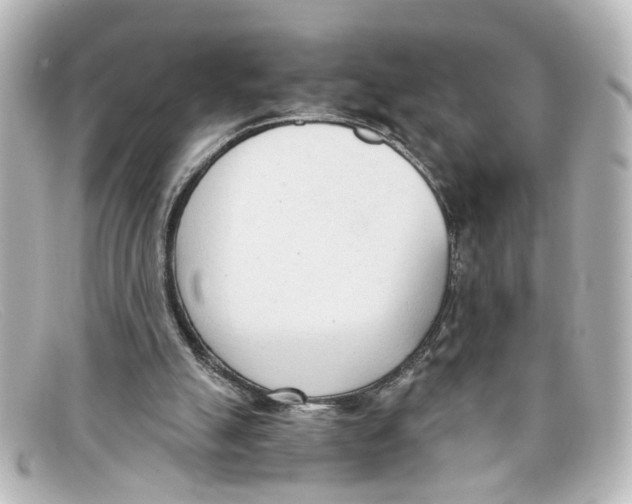 X0000098140055200805081029