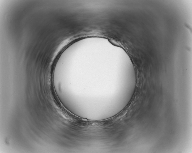 X0000098140056200805081029