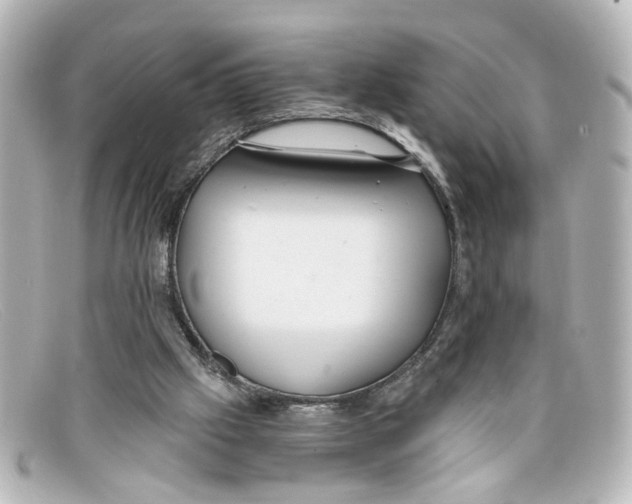 X0000098140057200805081029